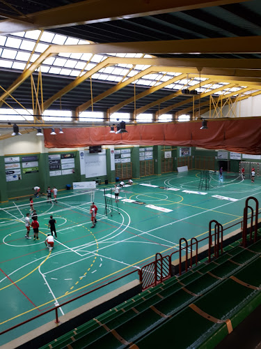 Polideportivo Municipal Petrer, Alicante